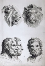 Podobnosti mezi hlavou lva a člověka, z knihy „Livre de portraiture pour ceux qui commencent à dessiner“ od Le Bruna