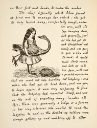 Alenka drží pštrosa, ilustrace z knihy Alenčina dobrodružství v podzemí, nakl. 1886 (faksimile)