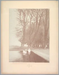 Suite of Landscapes: Landscape, Plate 6, Note, Lilie
