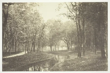 Bez názvu, c. 1850. [Stromy u vody v Bois de Boulogne, park v Paříži].