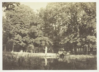 Bez názvu, c. 1850. [Stromy u vody v Bois de Boulogne, park v Paříži].