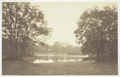 Bez názvu, c. 1850. [Stromy u vody v Bois de Boulogne, park v Paříži].