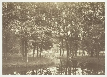 Bez názvu, c. 1850. [Stromy u vody v Bois de Boulogne, park v Paříži].