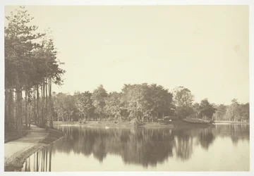 Bez názvu, c. 1850. [Stromy u vody v Bois de Boulogne, park v Paříži].