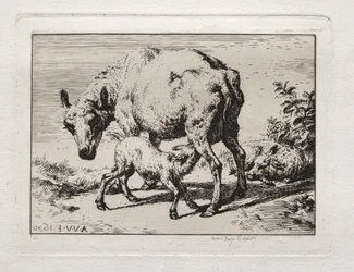 Ovce se dvěma jehňaty, 1850.