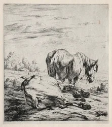 Dva koně, 1850.