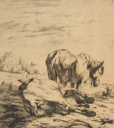 Dva koně, 1850.