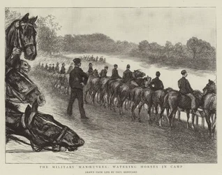 Vojenské manévry, napájení koní v táboře