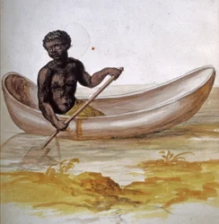 Mladý muž na kánoi v Karibiku, asi 1686 (akvarel)