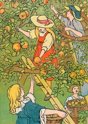 Sbírání ovoce, 1912