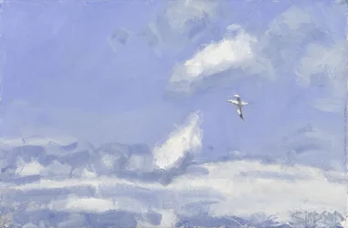 Gannet  Clouds, 2016 (olej na plátně)