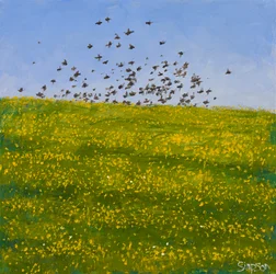 Starlings  Buttercups, Iona, 2015 (olej na plátně)
