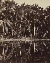 Tetiaroa – laguna Paumotu, 80. nebo 90. léta 19. století.