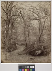 Fontainebleau, kolem roku 1870 (tisk alba)