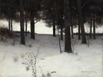 Woods v zimě, 1886.