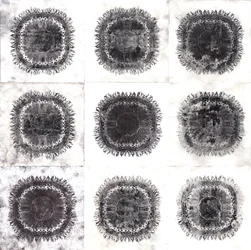 Plant Cells, 2019 (suché leptání)