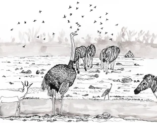 Safari 2, 2018 (tuš a akvarel)