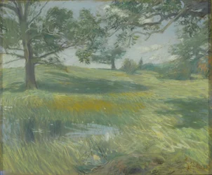 Meadows, cca 1900-10 (pastel na plátně)
