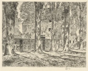 Vesnické jilmy, 1923