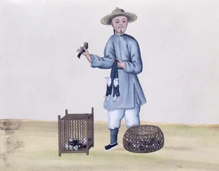 Prodejce holubů, z knihy o pouličním volání z Pekingu, kolem 1785 (wc a kvaš na papíře)
