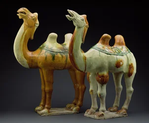 Dva velbloudi, dynastie Tang (618-907) (glazovaná kamenina)