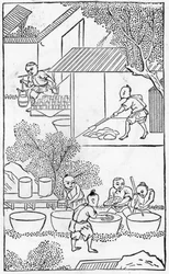 Praní hlíny, ze série ilustrací výroby porcelánu (viz 384116 a 384117 pro celou sérii).