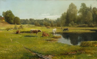 Letní ráno, Stabekku