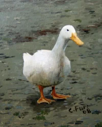 Husa, 2006 (olej na plátně)