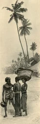 Skupina mužů, Colombo, Ceylon, 1898.