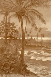 Pláž na Waikiki, Havaj, 1898.