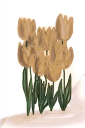 Jemné béžové tulipány