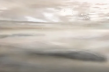 Labutí píseň v mlze