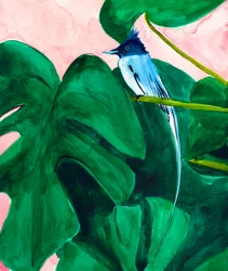 List tropické rostliny Monstera