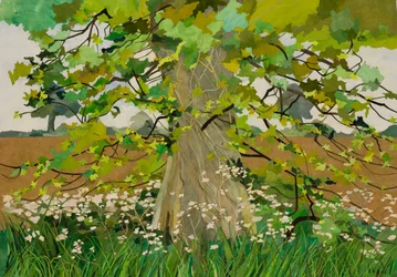 Darcyho strom, 2011 (koláž z akvarelového papíru)