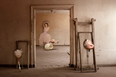Flamingo – baletní sen