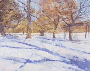 Zima, Richmond Park