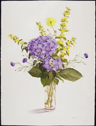 Modrá hortenzie se žlutým Loosestrife (wc)