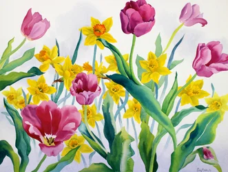 Narcisy a tulipány (akvarel na papíře)