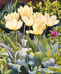 Světlé tulipány (akvarel na papíře)