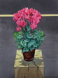 Zátiší Cyclamen (akvarel na papíře)