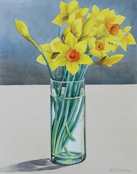 Supermarket Daffodils, 2022 (akvarel na papíře)