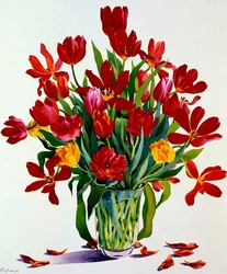 Tulipány (wc na papíře)