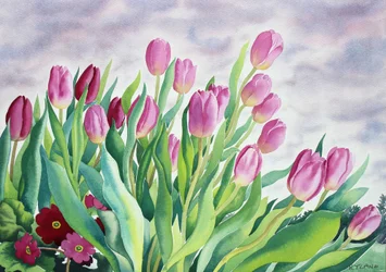 Tulipány u okna (akvarel na papíře)
