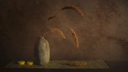 Minimalistické botanické zátiší
