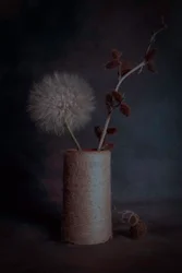 Náladové botanické zátiší