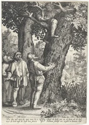 Vogelnestrover
