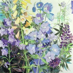 Delphiniums a Foxgloves