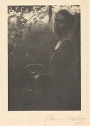 Okraj lesa, večer,1900 (foto)