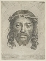 Shroud