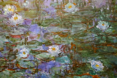 Modré lekníny (detail)